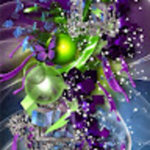 Meet your Posher, Kira